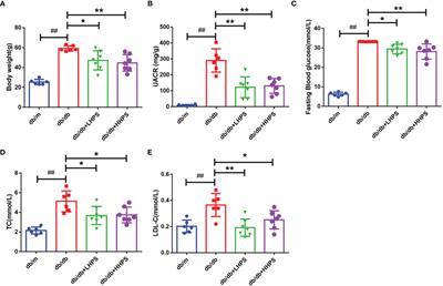 Hyperoside Suppresses Renal Inflammation by Regulating Macrophage Polarization in Mice With Type 2 Diabetes Mellitus